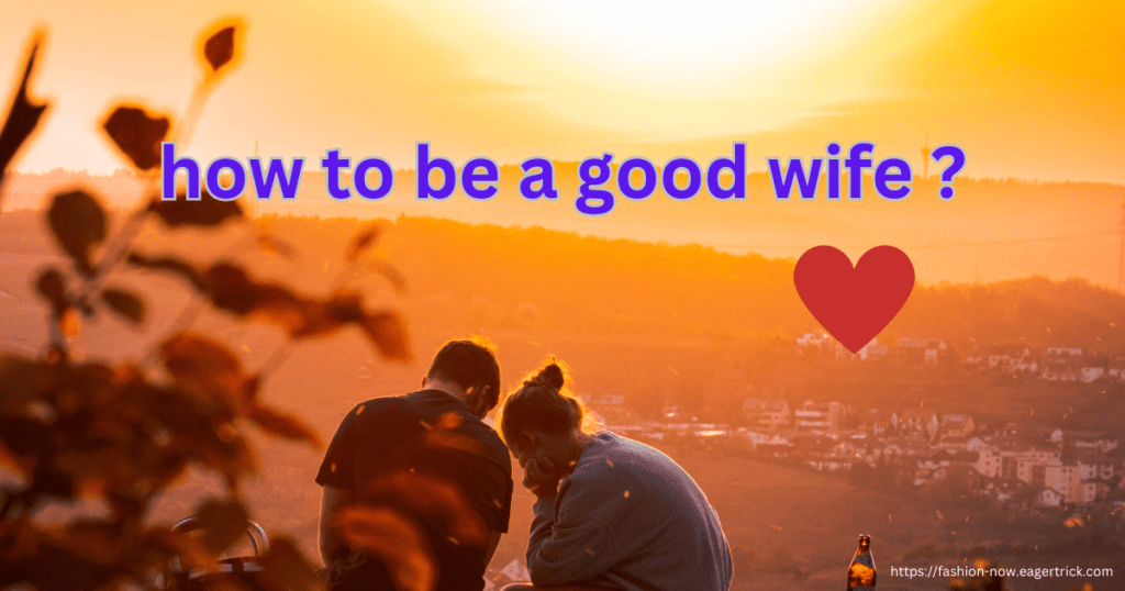 how to be a good wife Book